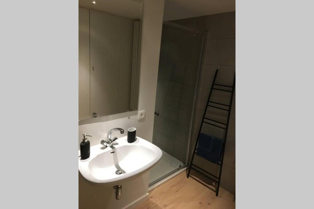 Studio2 Ename, Dakappartement In Vlaamse Ardennen Ауденарде Экстерьер фото